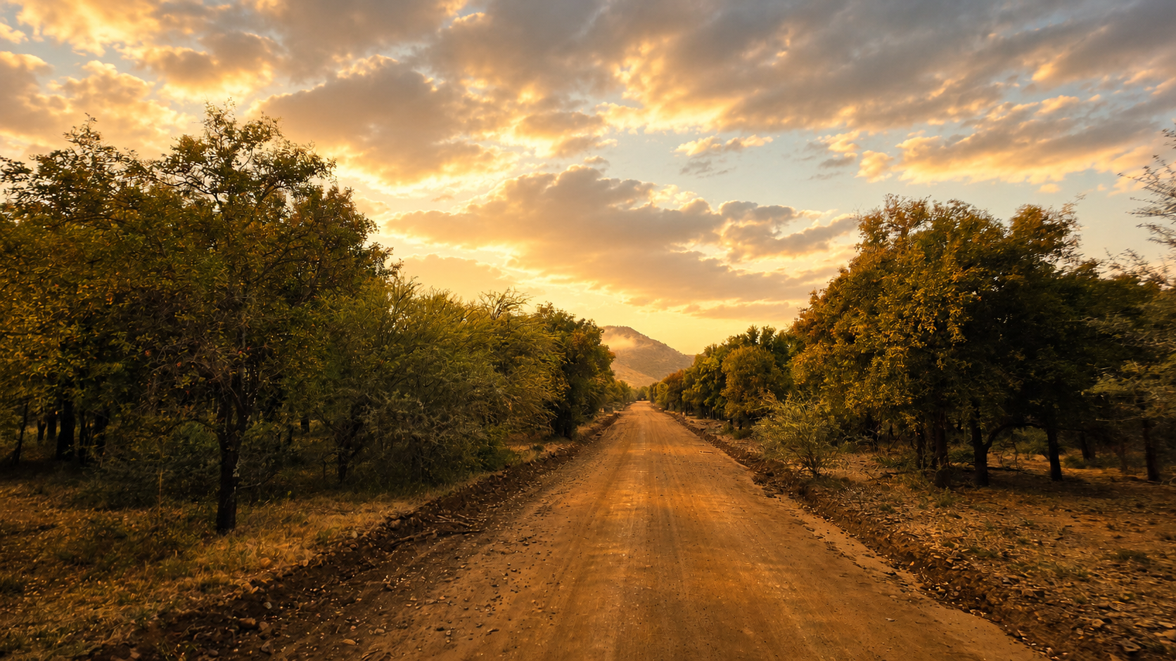 Walking safari trail at sunset - on foot in the Big Five reserve.